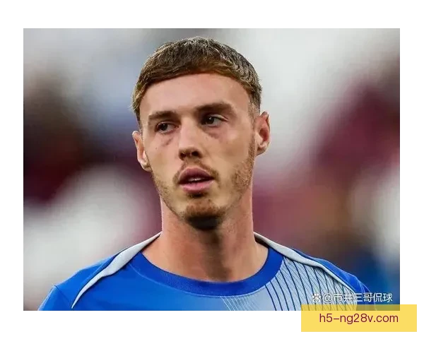 帕尔默难适应伦敦生活 思乡情浓