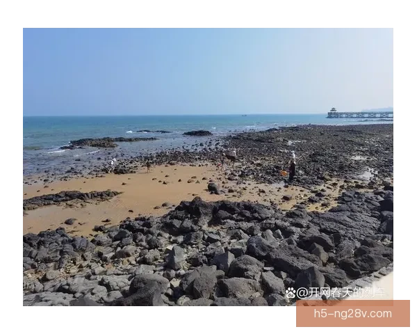 西海岸送别徐彬远航高台绽放